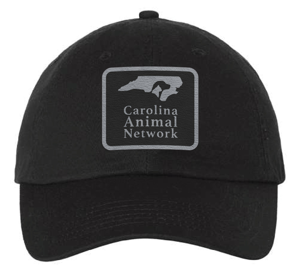 Black dad hat featuring the Carolina Animal Network logo in a black and silver leatherette patch. Front view.