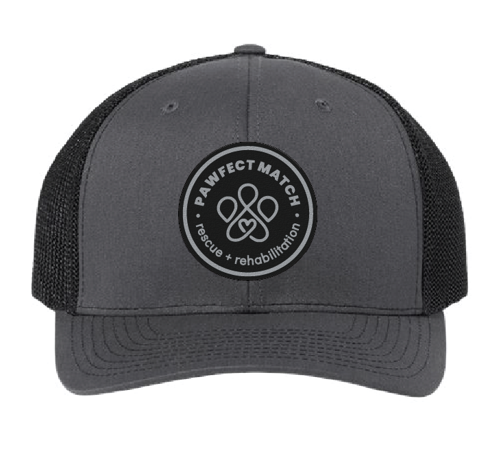 Richardson 112 structured dad hat in black, featuring the Pawfect Match revue logo on black leatherette with silver engrave