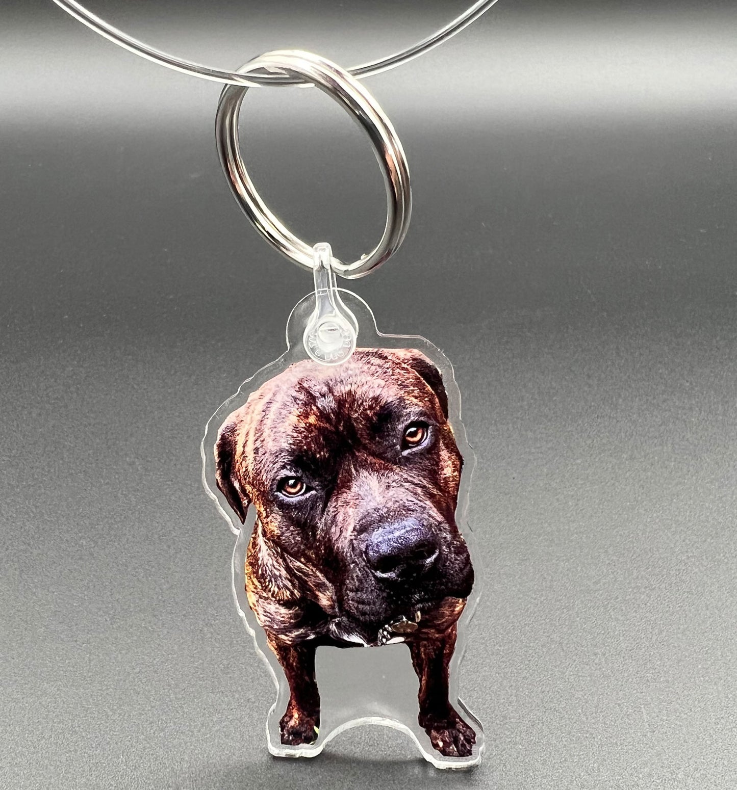 Custom Photo Keychain: Mastiff