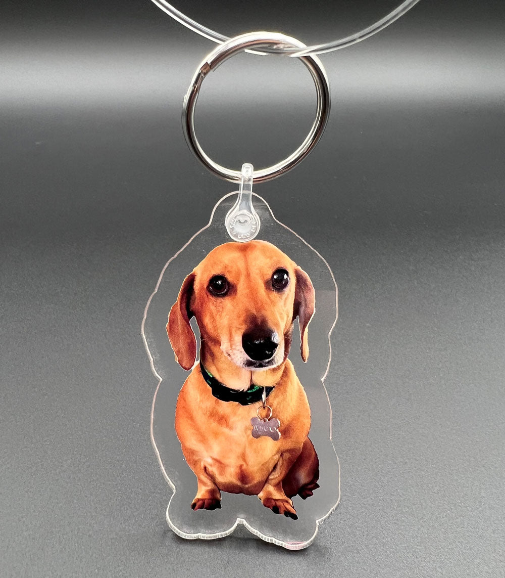 Custom Photo Keychain: Dachshund