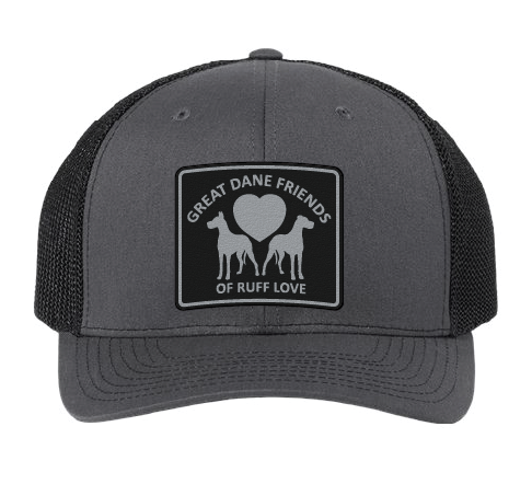 Great Dane Friends Patch Hats