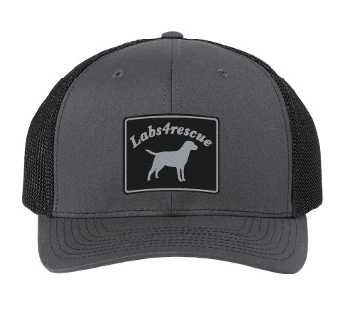 Labs4rescue Trucker Patch Hat (Charcoal/Black Hat, Black/Silver Patch)
