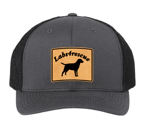 Labs4rescue Trucker Patch Hat (Charcoal/Black Hat, Leather Patch)