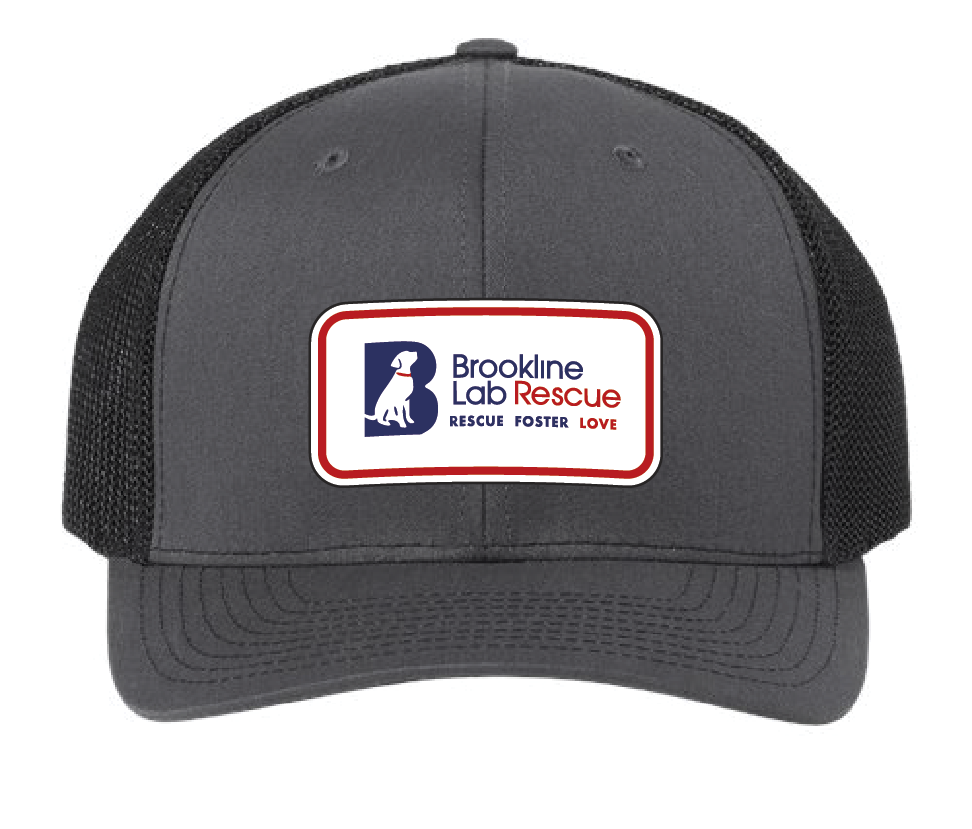 Charcoal/Black trucker hat featuring the Brookline Lab Rescue logo in a tricolor acrylic patch. Front view.