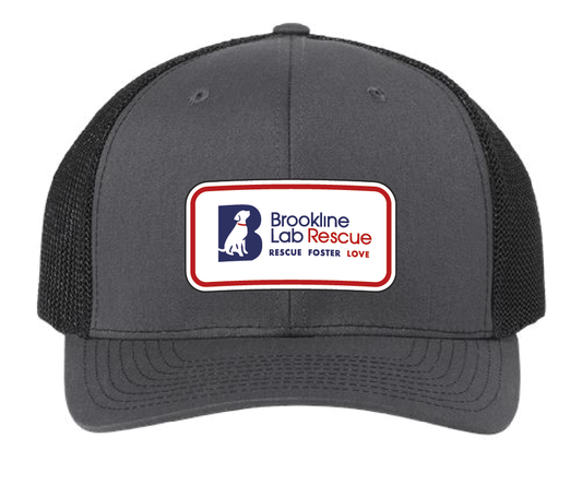 Charcoal/Black trucker hat featuring the Brookline Lab Rescue logo in a tricolor acrylic patch. Front view.