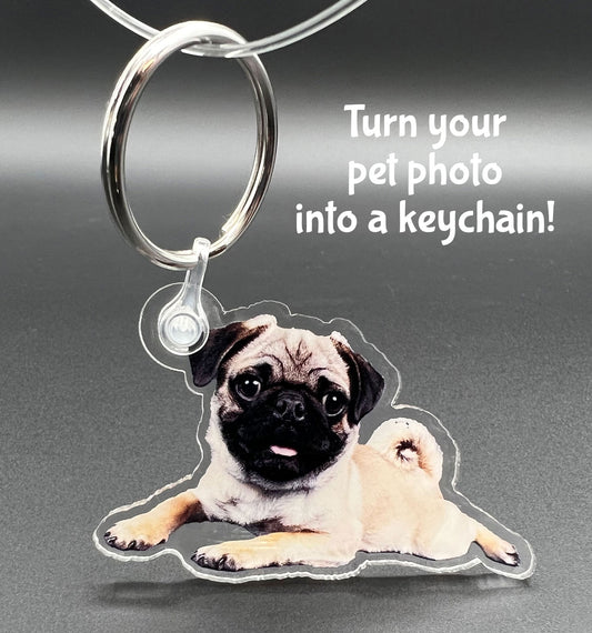 Acrylic keychain of a baby pug. Upload your own photo and turn it into a keychain.